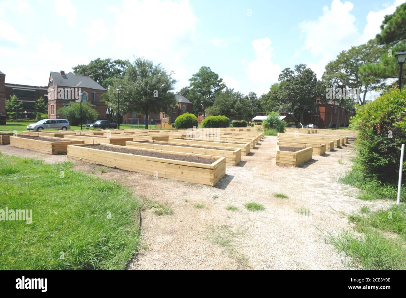 Nuovo Giardino Urbano in costruzione con piazzole di legno stabilite e terreno caricato, in attesa di piantare Foto Stock