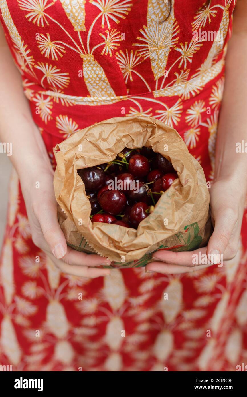 Alto angolo di donna irriconoscibile in abito con ciliegia matura in sacchetto di carta Foto Stock