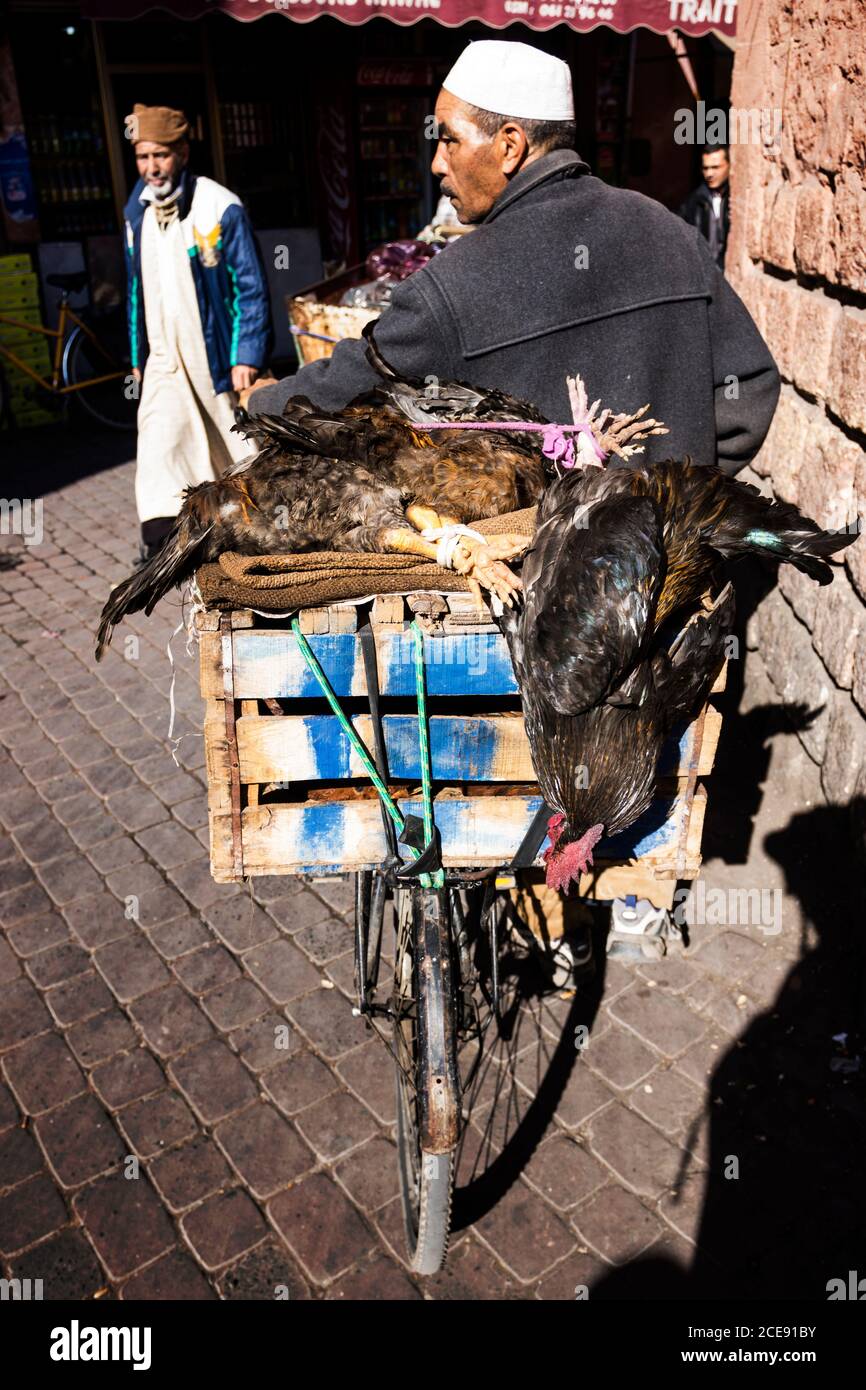 Marrakech - Marocco; 12-14-2013: Uomo che prende alcuni cazzi morti sulla sua moto attraverso il mercato Foto Stock