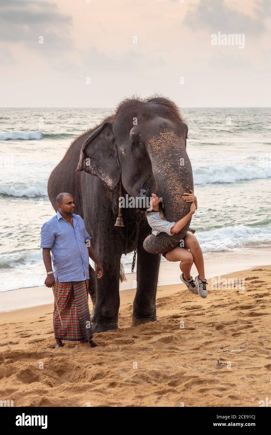 Sri Lanka, Waduwa, Life Ayurveda Resort. Elefante sulla spiaggia con mahout. Donna che viene sollevata da elefante. Foto Stock