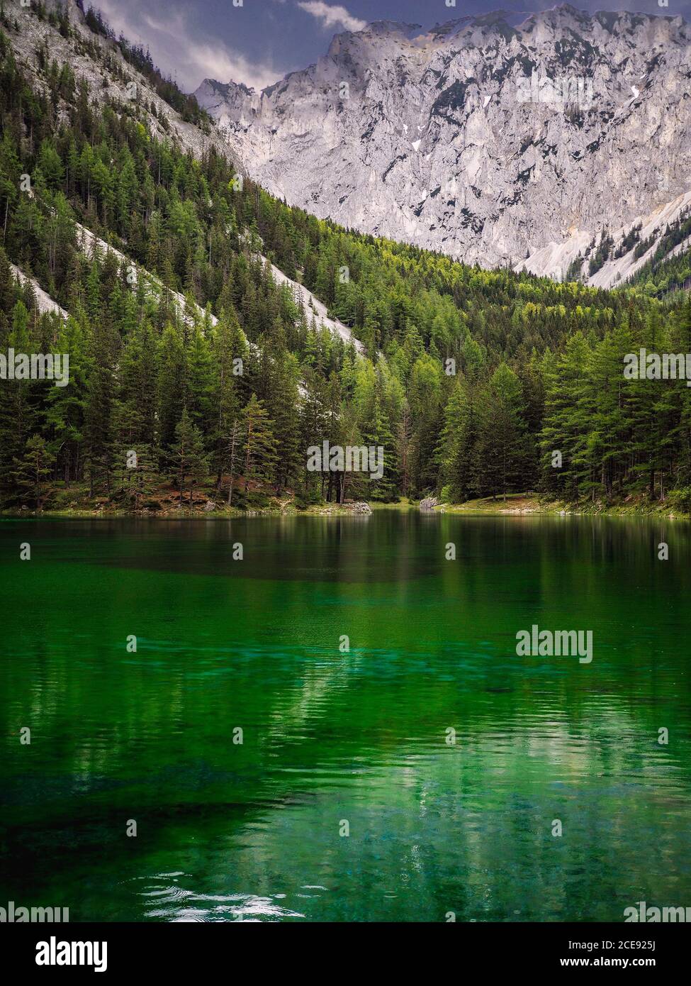 Lago verde con foresta e rocce sullo sfondo. Stiria, Austria, 21 maggio 2019. Foto Stock