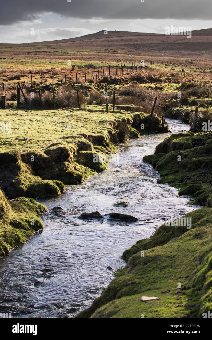 Un piccolo fiume che scorre attraverso l'aspro e cupo Bodmin Moor in Cornovaglia. Foto Stock