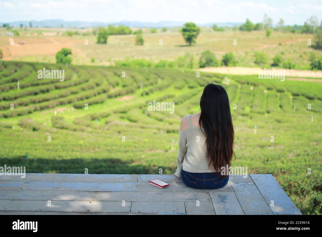 Giovane donna che guarda vista della piantagione di tè Choui Fong a Chiangrai, Thailandia. Foto Stock