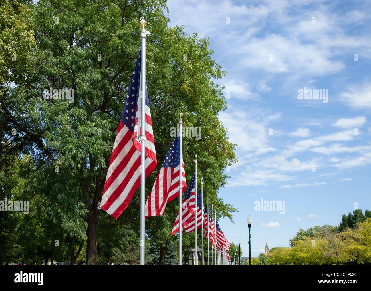 Bandiere americane in una mostra che onora i veterani militari lungo un strada in una piccola città Foto Stock