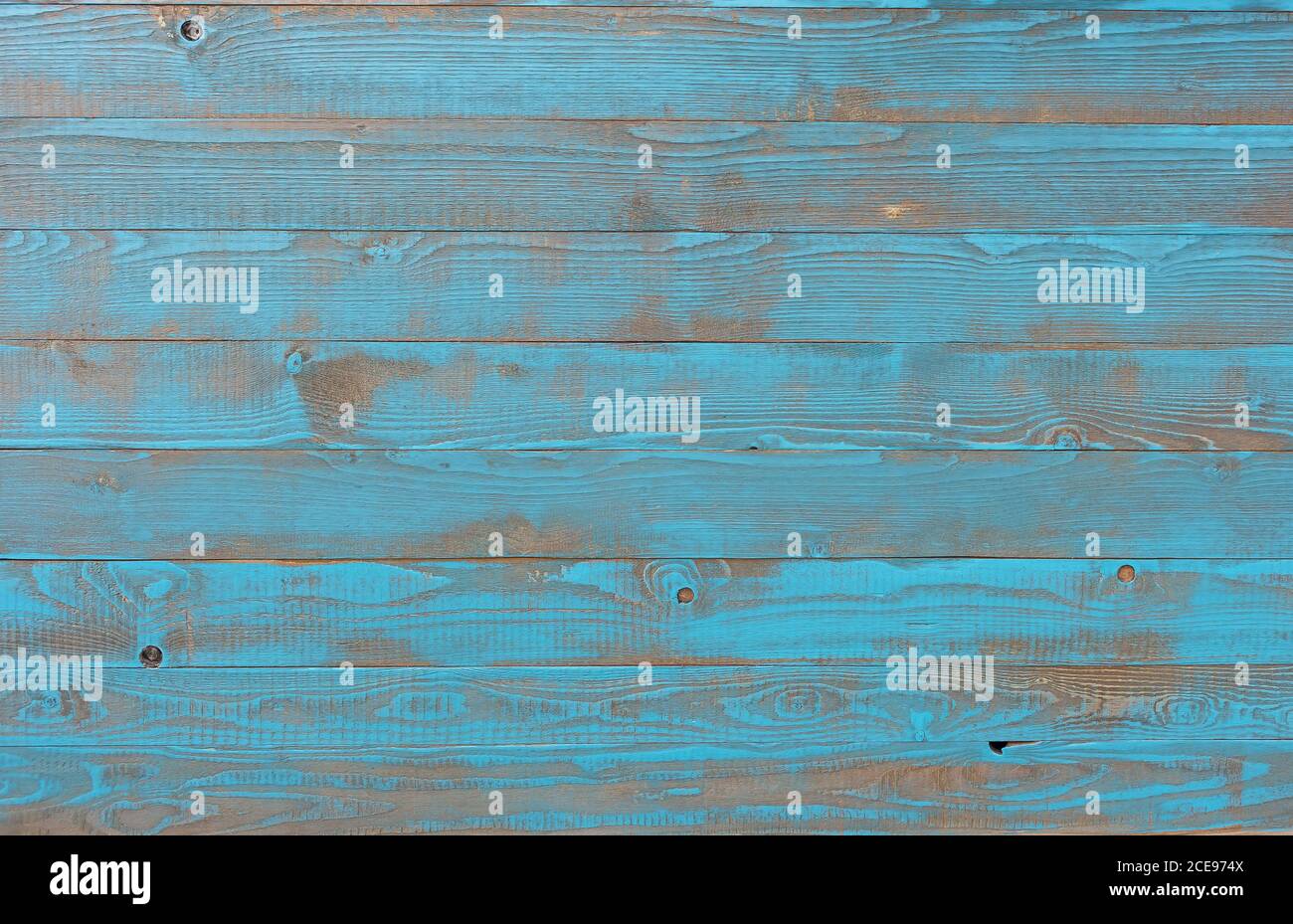 Una parete fatta di legno di abete rosso verniciato blu chiaro in stile d'epoca in cui la struttura in legno risplende Foto Stock