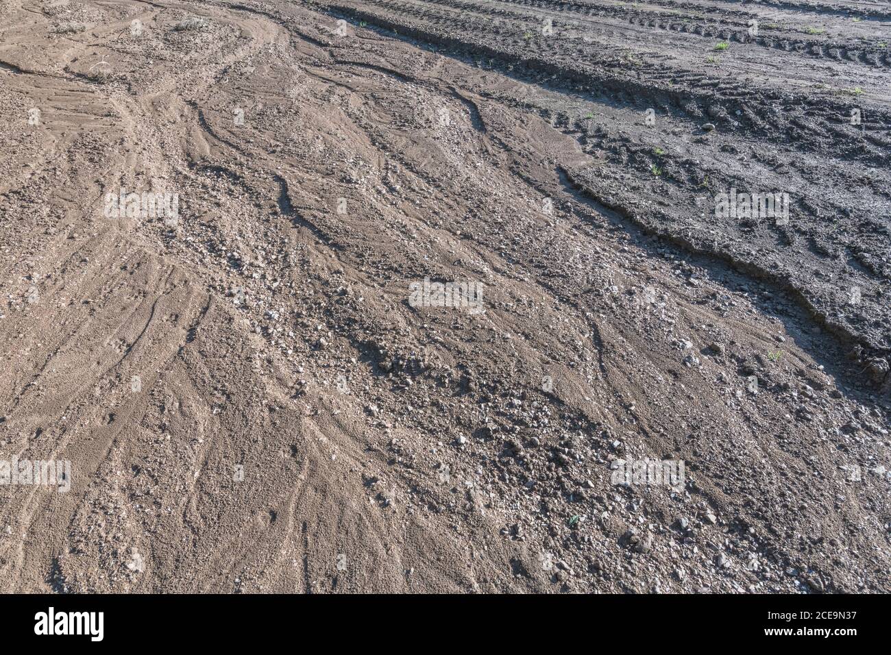 Grave erosione dell'acqua piovana in un campo di patate dove l'acqua ha lavato via le file più basse di patate. Effetti di pioggia pesante. Vedere le note aggiuntive. Foto Stock