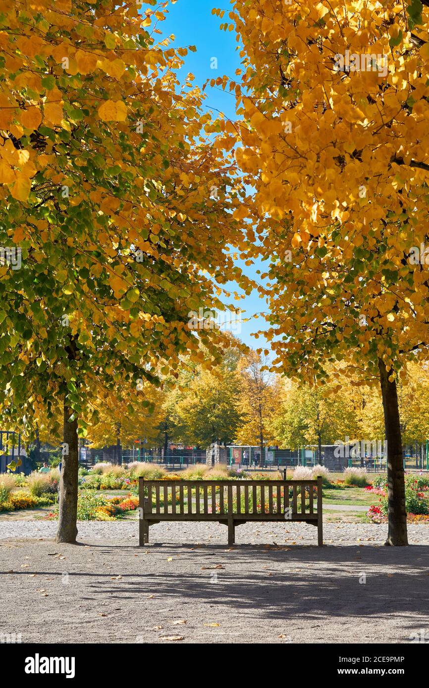 Una panchina nel parco in un parco autunnali vicino a Magdeburgo Foto Stock