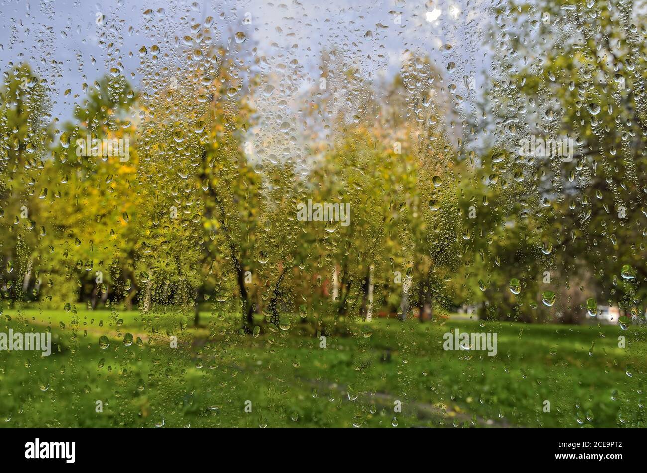 Autunno luminoso paesaggio sfocato dopo la pioggia attraverso vetro bagnato finestra Foto Stock