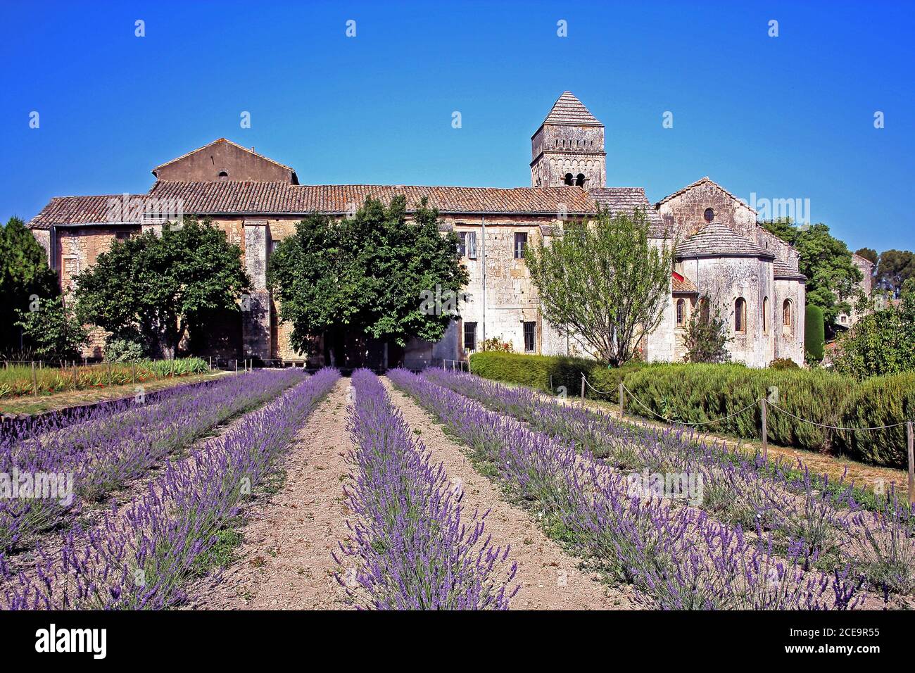 Monastero Giardino, St-Rémy-de-Provence, Francia Foto Stock