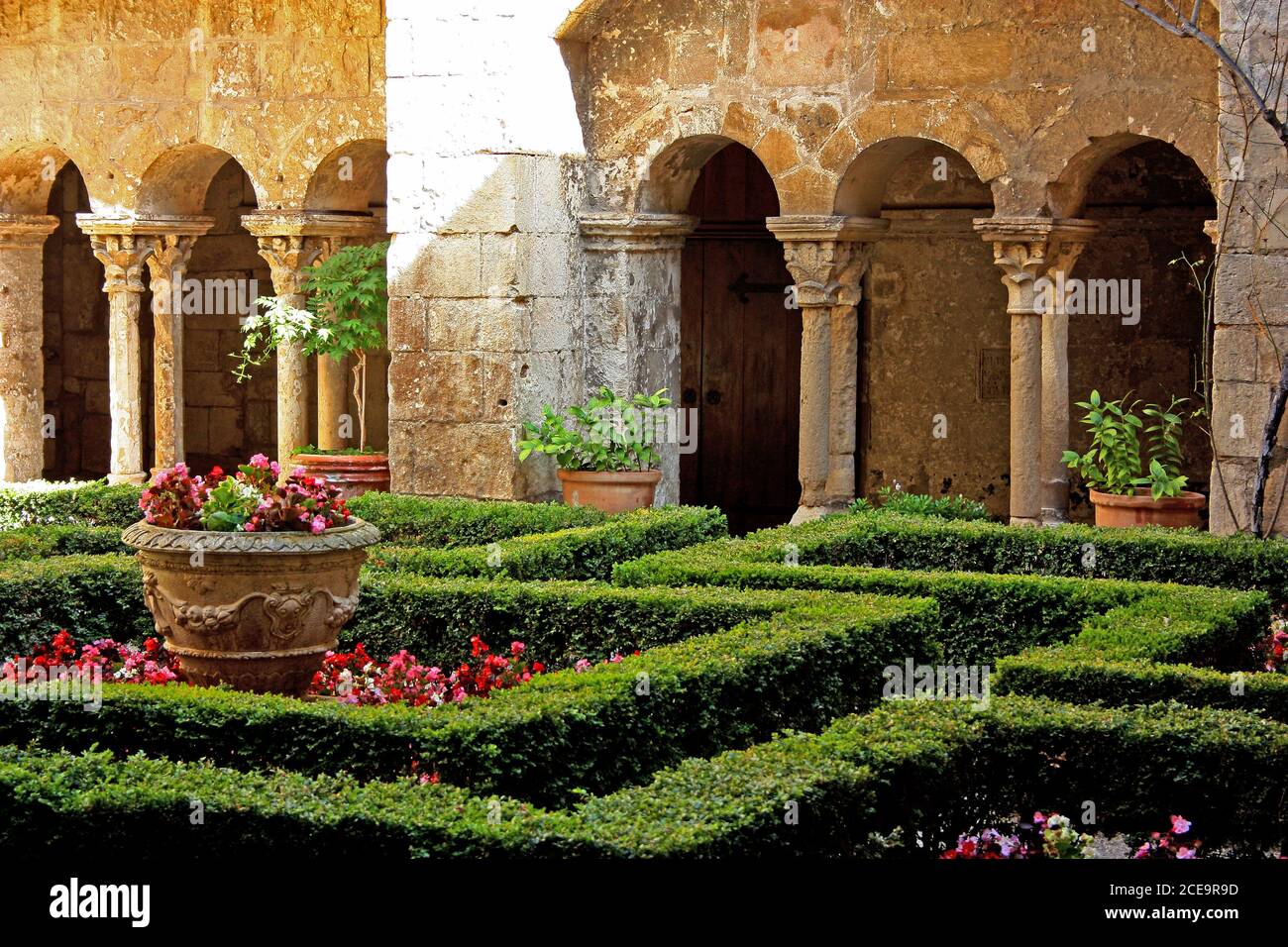 Chiostro, Saint-Paul-de-Mausole, St-Rémy-de-Provence, Francia Foto Stock