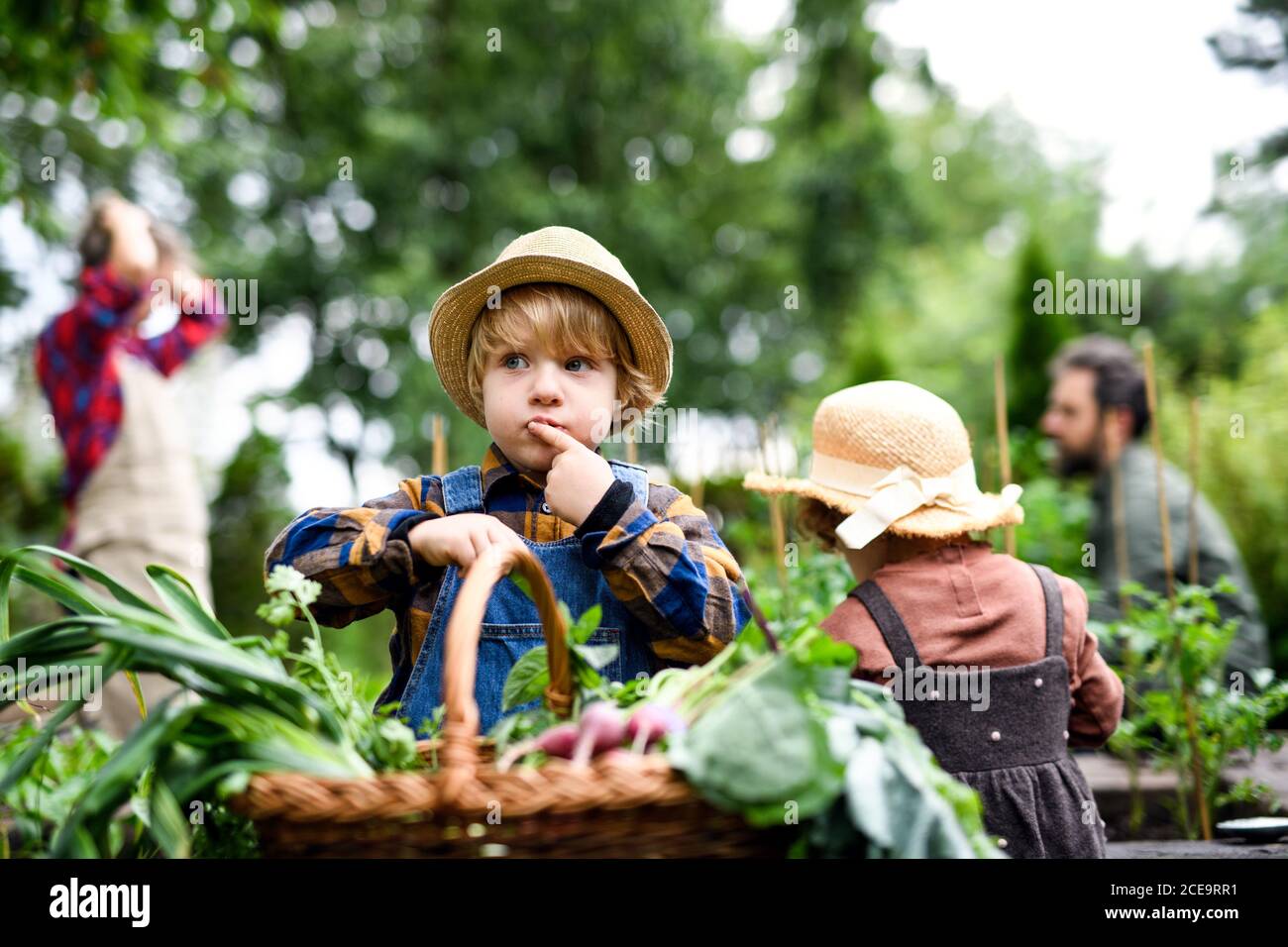 Famiglia con bambini piccoli che giardinaggio in fattoria, coltivando verdure biologiche. Foto Stock