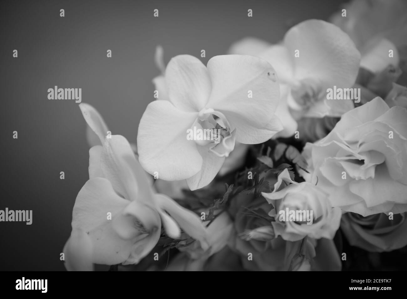 Closeup scala di grigi shot di bel bouquet di fiori Foto Stock