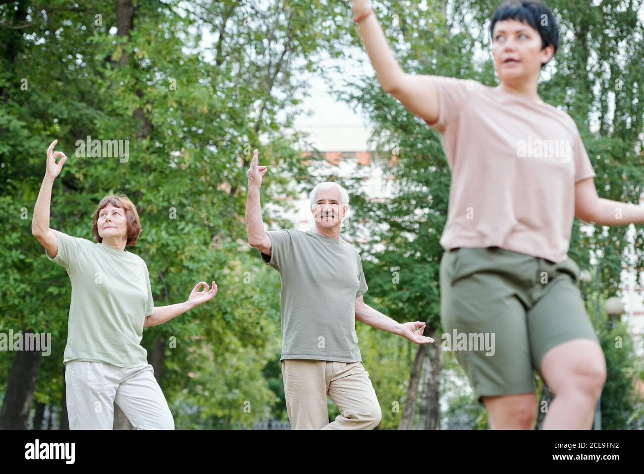 Contenuto coppia senior che esegue movimenti a scorrimento lento alla classe di gruppo qigong all'aperto Foto Stock