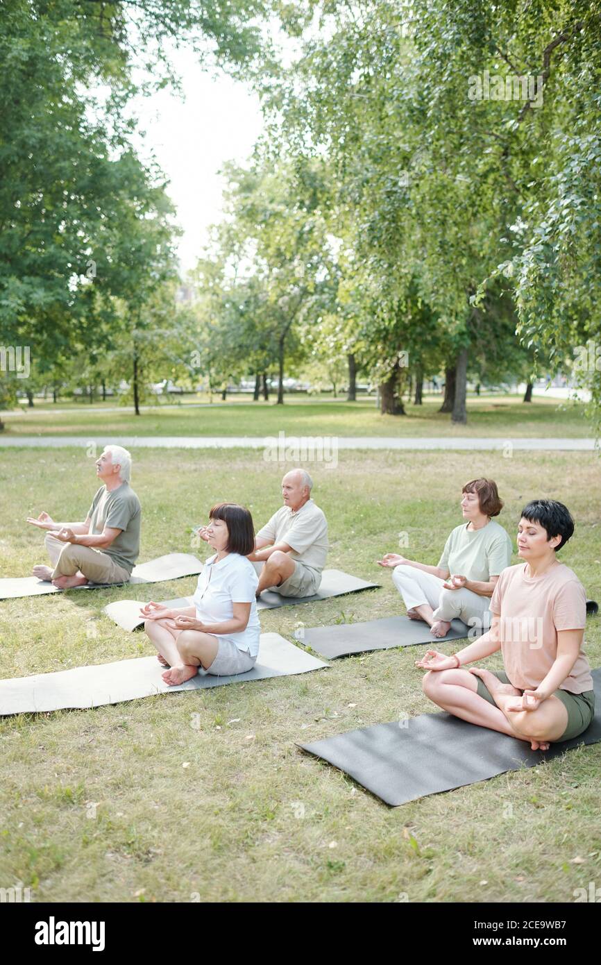 Gruppo di persone spirituali mature che siedono in posizione di mezzo loto e meditando con gli occhi chiusi nel parco Foto Stock