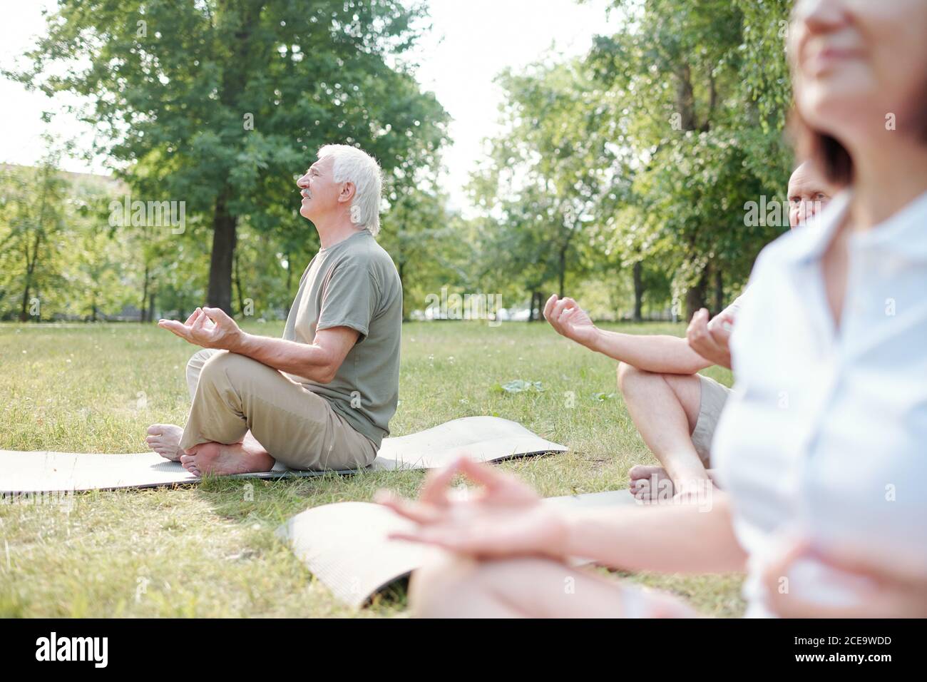 Gruppo di sano anziano spirituale seduto con gambe incrociate e tenendo le mani in mudra mentre meditating nel parco estivo Foto Stock