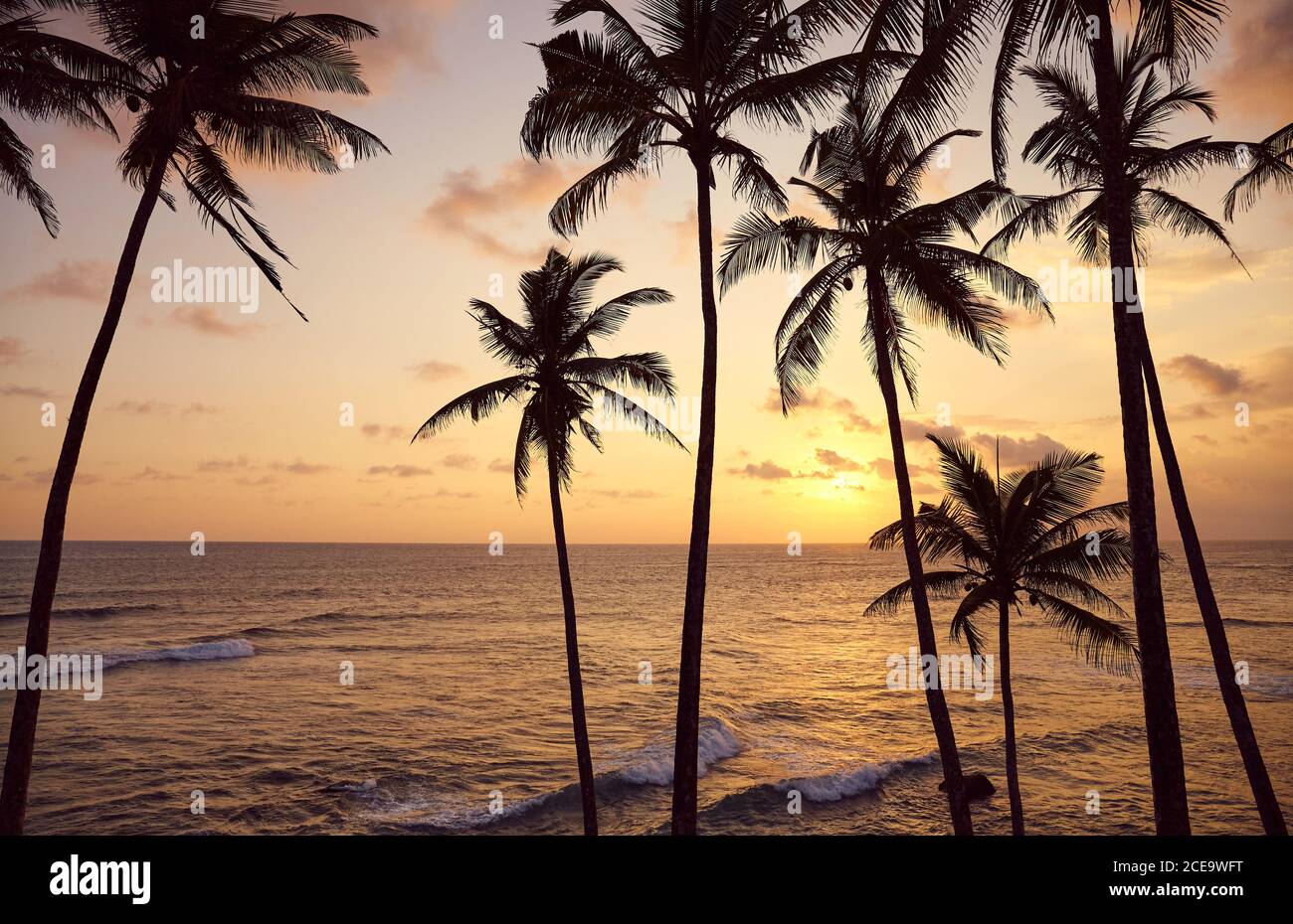 Splendido tramonto tropicale con le silhouette delle palme da cocco. Foto Stock