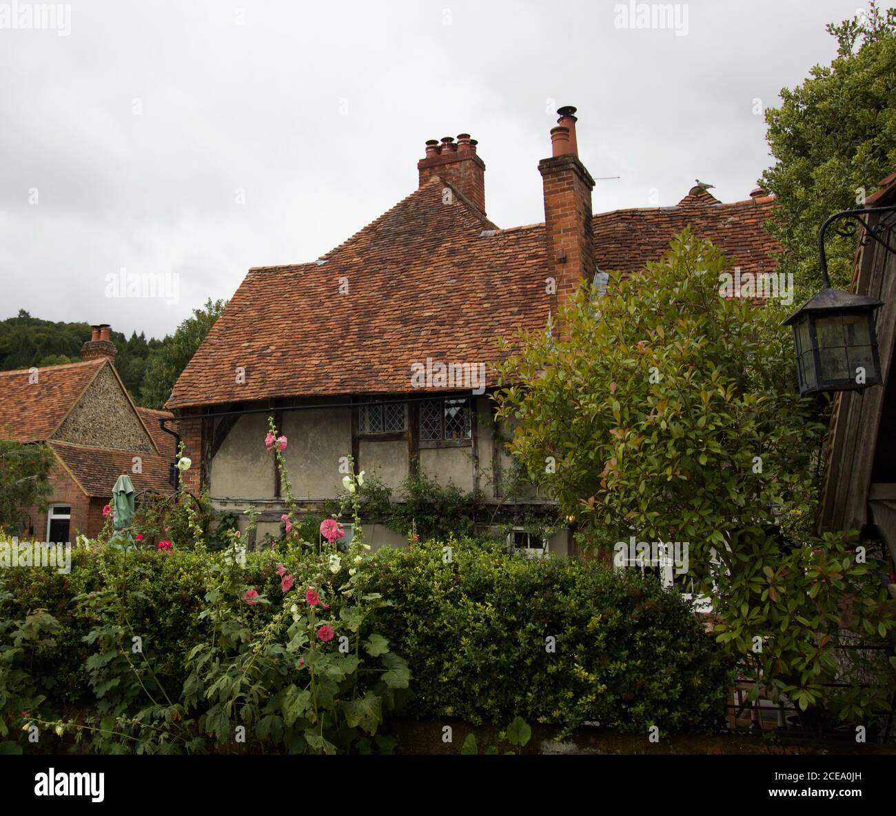 25 luglio 2020 - Inghilterra, Regno Unito: Cottage paese con hollyhocks in giardino Foto Stock