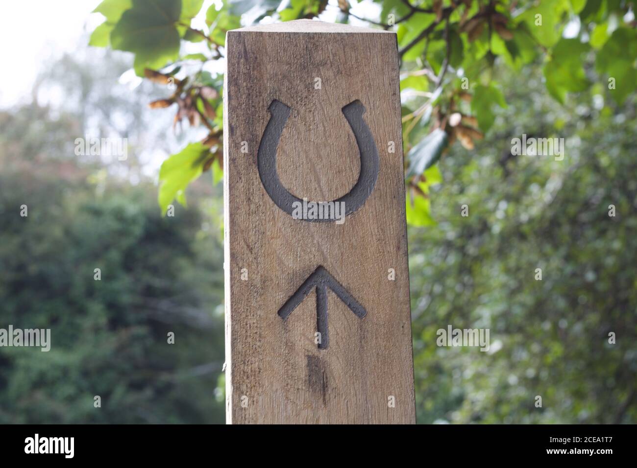 Cartello che indica il percorso a cavallo con ferro di cavallo e freccia verso l'interno legno Foto Stock