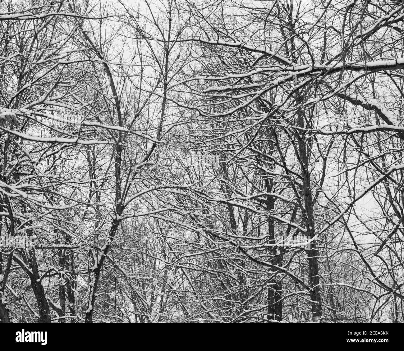 Inverno a Bishkek, Kirghizistan Foto Stock