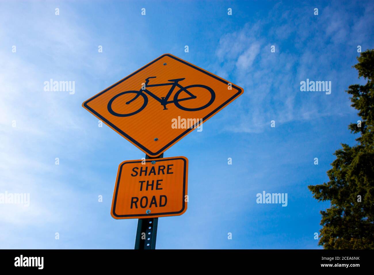 Annapolis, MD 08/21/2020: Vista ad occhio di bug di un segnale stradale rombo giallo con un simbolo di bicicletta, e un cartello attaccato sotto che dice 'share la strada Foto Stock