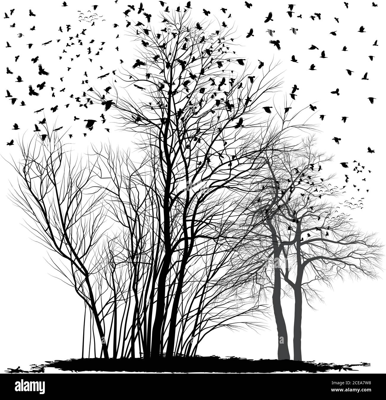 Ravens su un gruppo di agate alberi Illustrazione Vettoriale