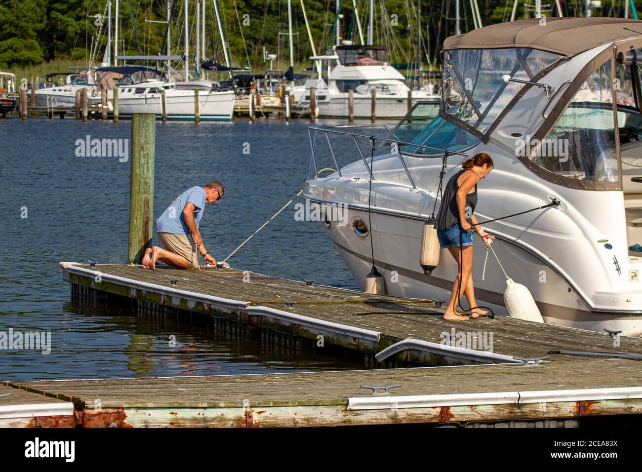 Stensville, MD 08/18/2020: Una coppia caucasica sta attraccando la sua barca cabinato al porto legando le corde di ormeggio per le scarpe e mettendo i sacchi del paraurti Foto Stock