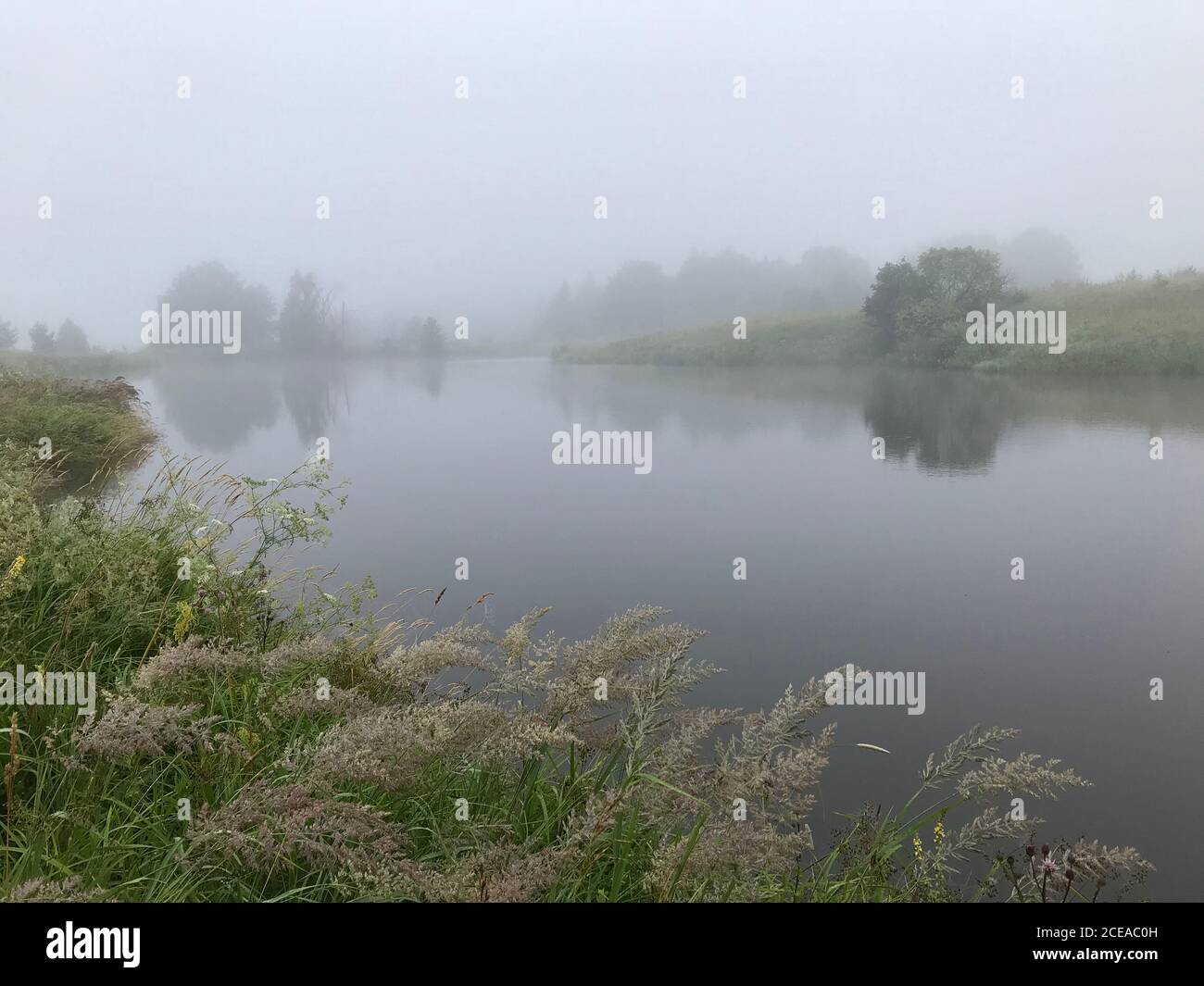 Mattina nebbia sul lago. Paesaggio estivo, natura Foto Stock