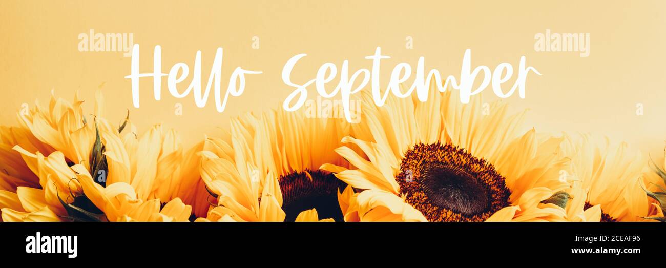 Ciao settembre testo con Girasole Foto Stock