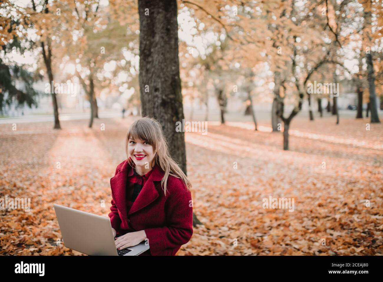 Giovane donna in cappotto rosso utilizzando il dispositivo e seduto posto a sedere nella foresta autunnale Foto Stock