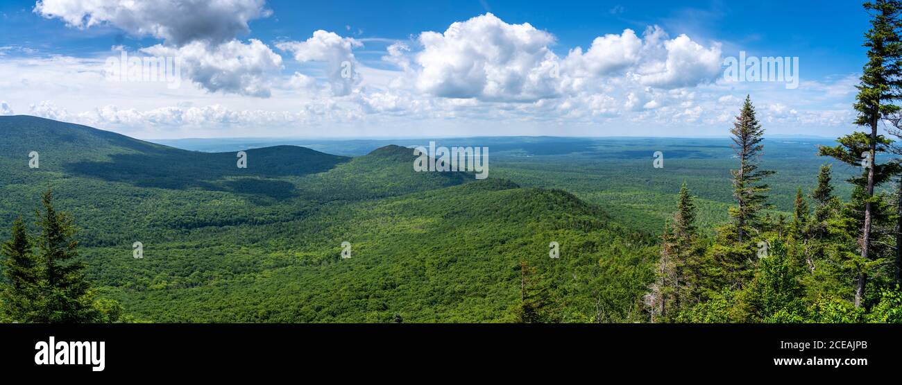 Vista panoramica sulle montagne Appalachiane durante l'estate in Canada Foto Stock