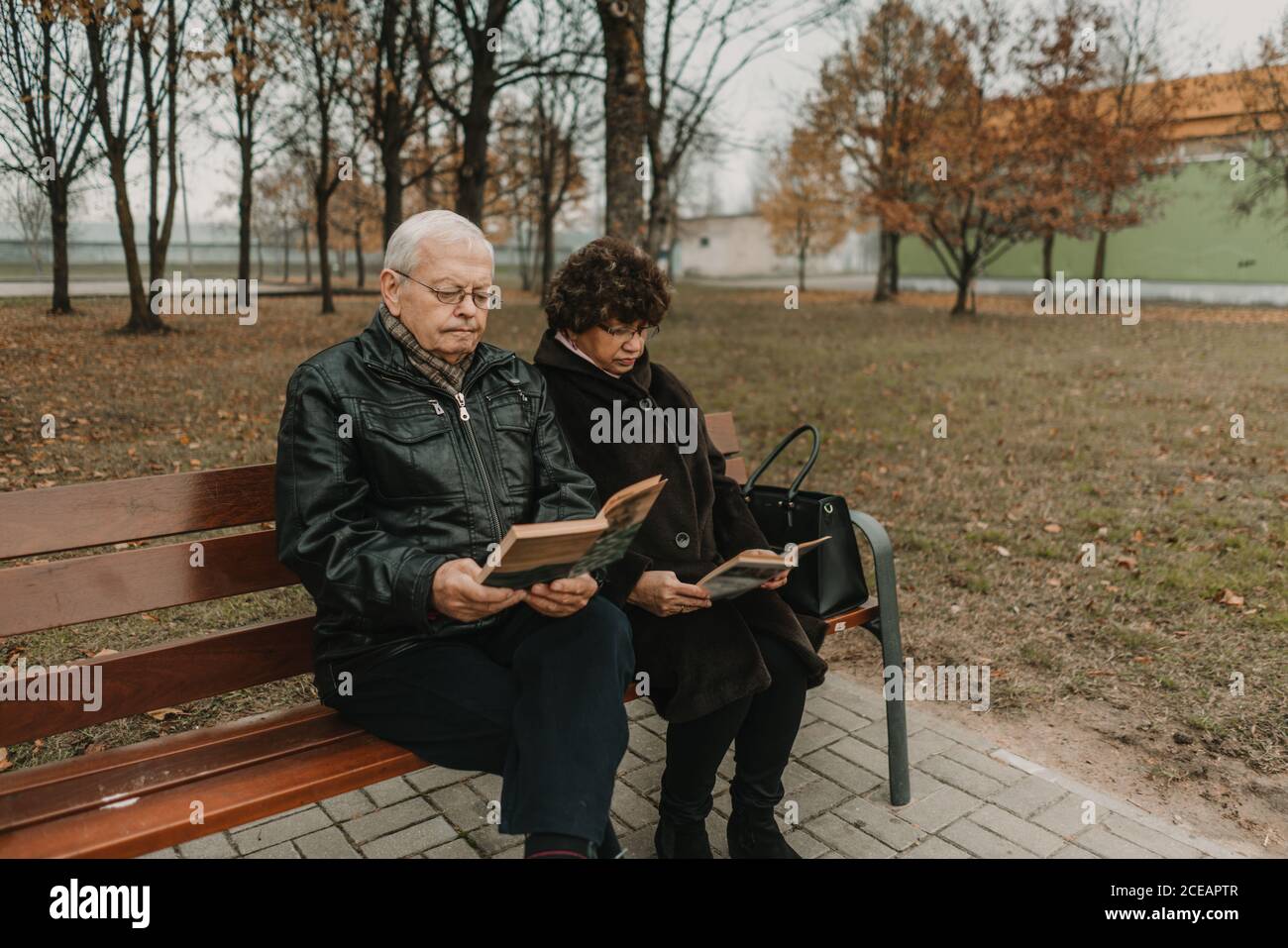 I libri di lettura della coppia anziana nel parco Foto Stock