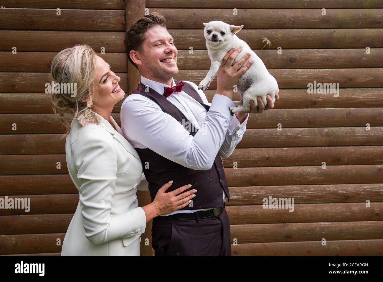 Sposo e sposo eccitati seduti su prato verde con molti Di piccolo bianco Chihuahua intorno Foto Stock