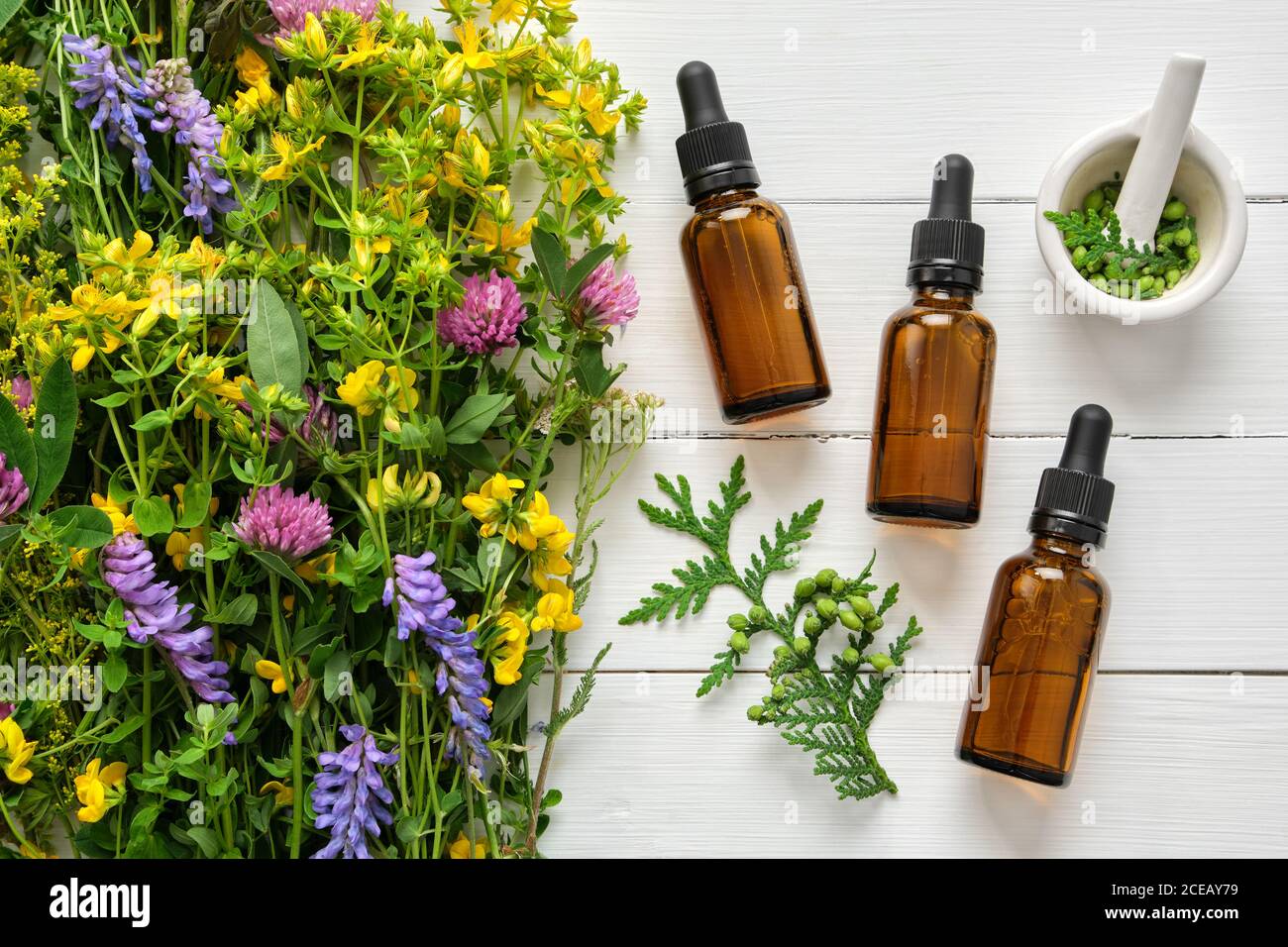 Flaconi contagocce di olio essenziale, Malta ed erbe medicinali su tavola di legno. Medicina alternativa. Foto Stock