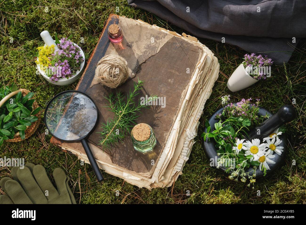 Bottiglie di olio essenziale, erbe medicinali, libro vecchio e loupa. Vista dall'alto. Foto Stock