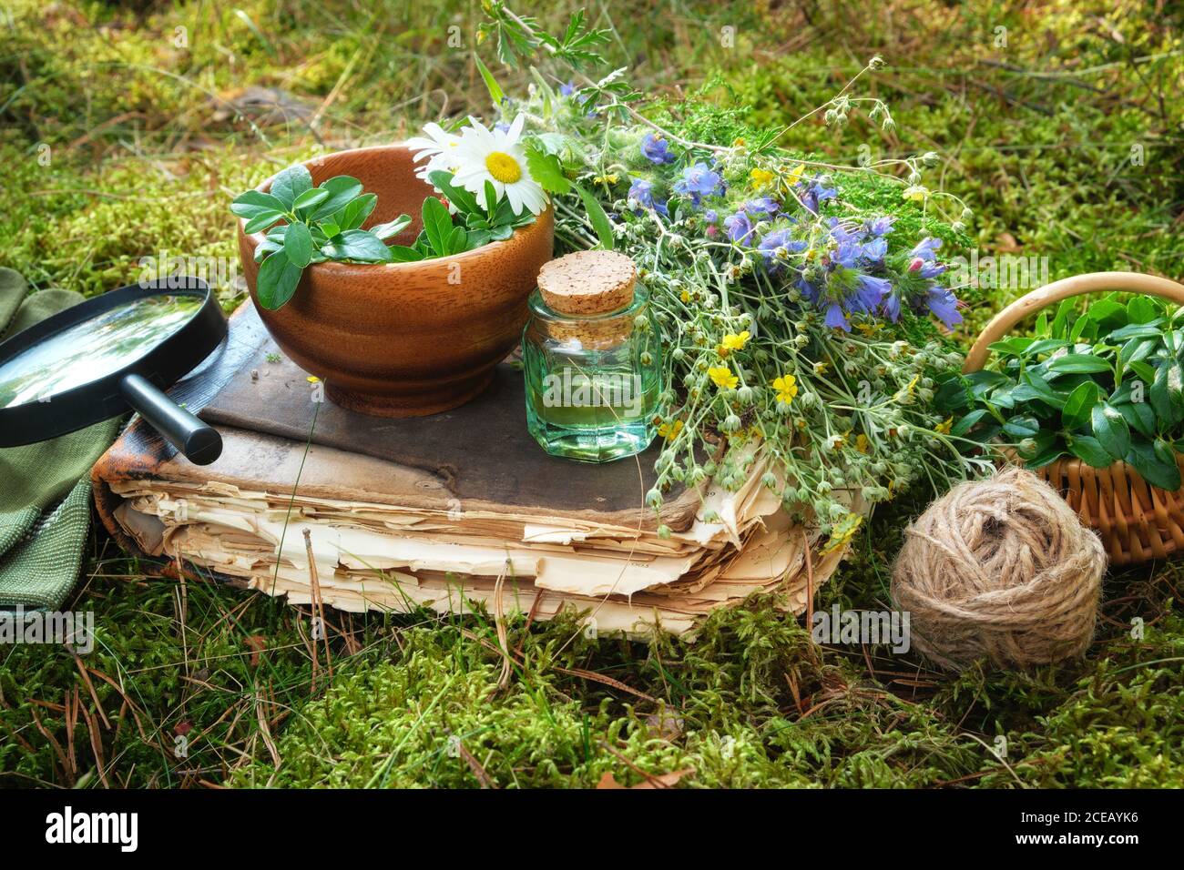 Mortaio di erbe medicinali, vecchio libro, infusione o bottiglia di olio essenziale, cesto e lente di ingrandimento su un muschio verde in foresta all'aperto. Foto Stock