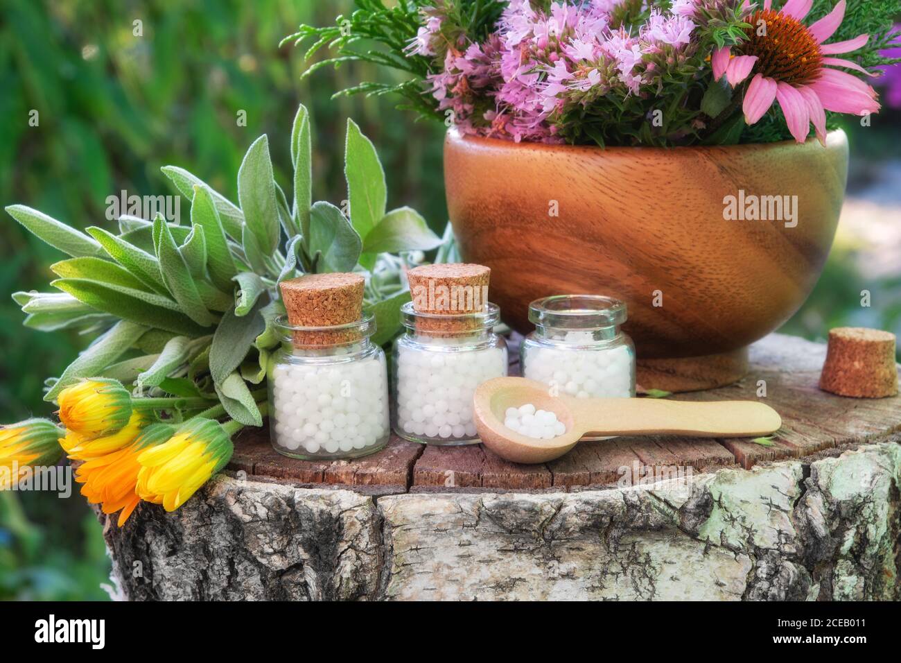 Tre bottiglie di globuli omeopatici, Malta di legno di erbe medicinali, piante curative su grumi all'aperto. Foto Stock