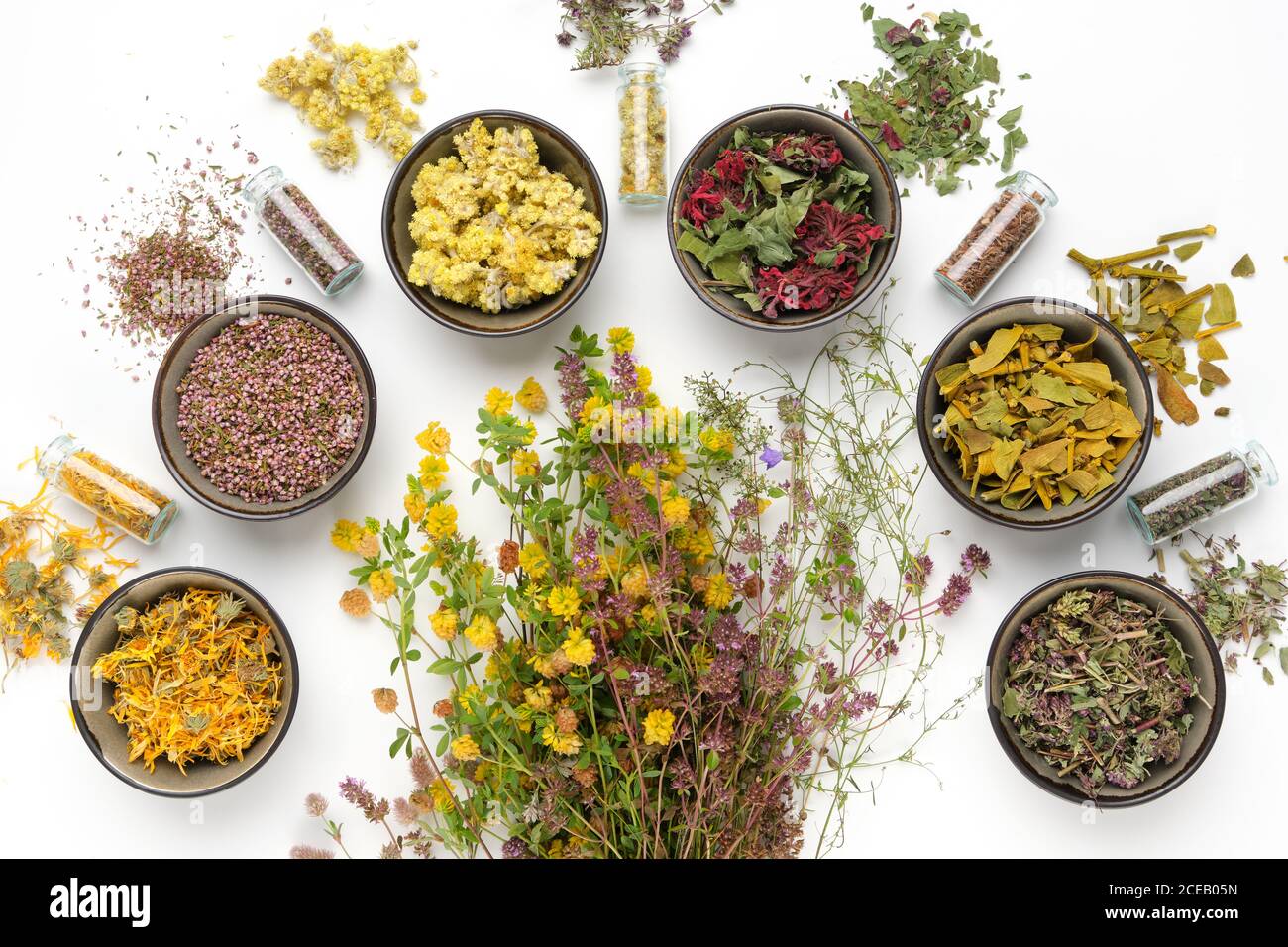 Ciotole di erbe medicinali secche, mazzi di piante curative e bottiglie di piante medicinali secche su sfondo bianco. Vista dall'alto, disposizione piatta. Foto Stock