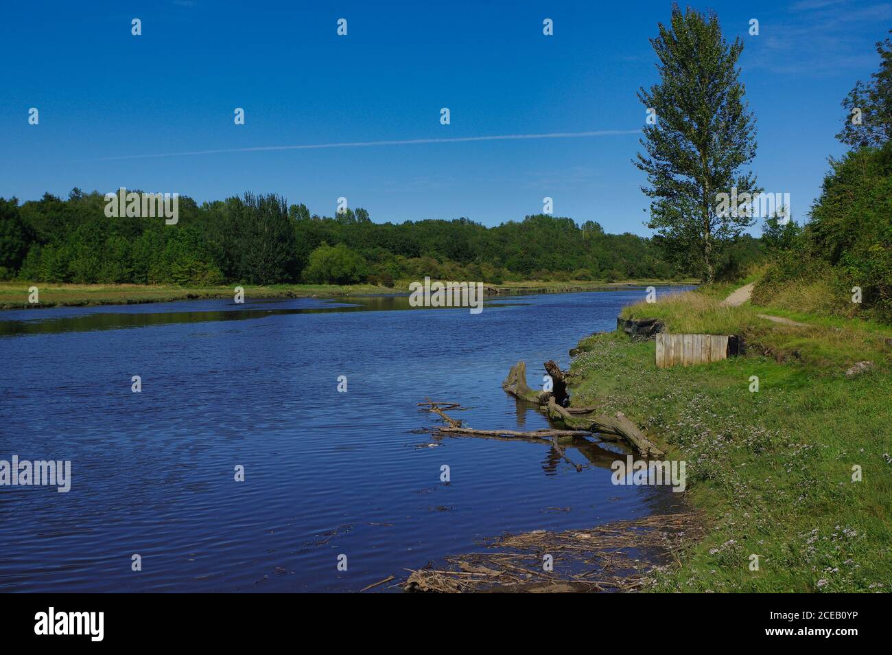 Schiarimento sulla curva del fiume Foto Stock