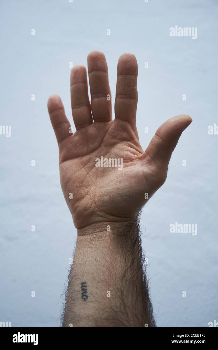 Crop vista della mano dell'uomo con piccolo tatuaggio con uno iscrizione sullo sfondo del cielo blu chiaro Foto Stock