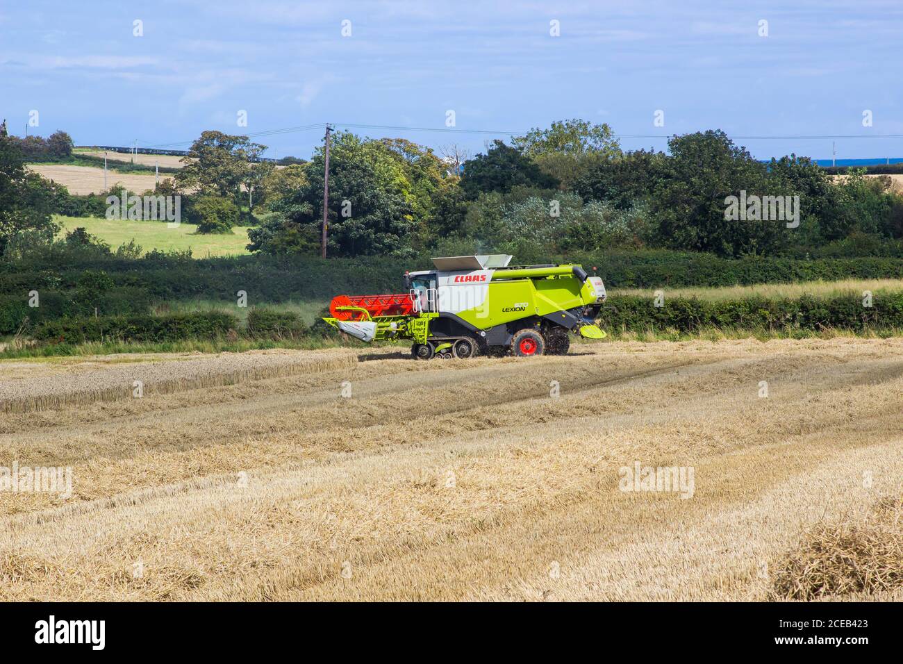 31 agosto 2020 Una mietitrebbia Claas Lexion 570 in funzione in un piccolo campo di mais d'orzo nella contea di Bangor in basso Irlanda del Nord Foto Stock