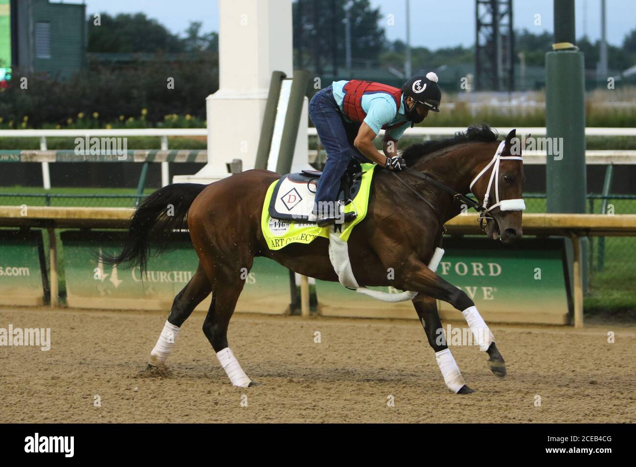 31 agosto 2020 Churchill Downs, Louisville Kentucky Art Collector allunga le gambe sulla pista in preparazione per il Kentucky Derby Foto Stock