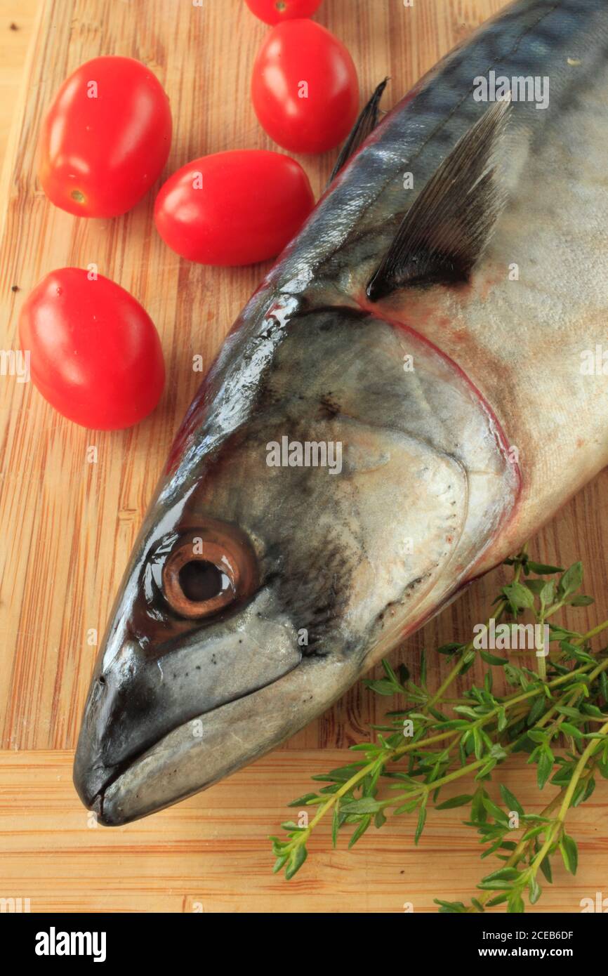 Sgombro, pesce, pomodori ciliegini, timo, Foto Stock