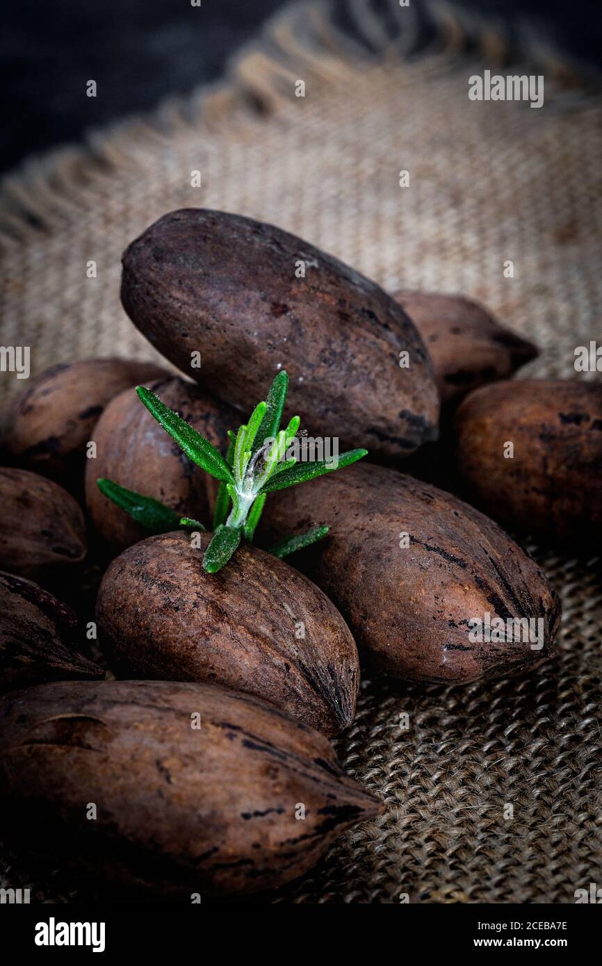 Frutta secca con fondo bianco. Noci; mandorle; noci di anacardi; noci di macadamia Foto Stock