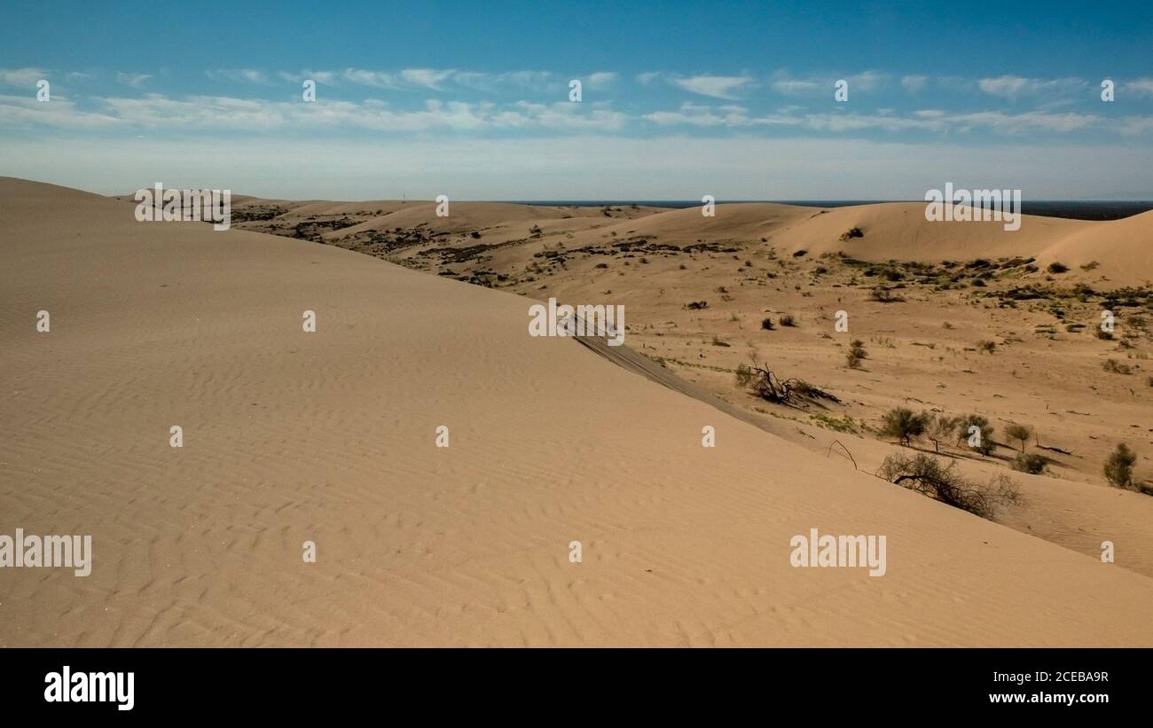 Panoramica delle dune di sabbia imperiali del deserto in una giornata di primavera senza nuvole con cielo blu, con colline sabbiose, vegetaion nativo un cielo blu Foto Stock