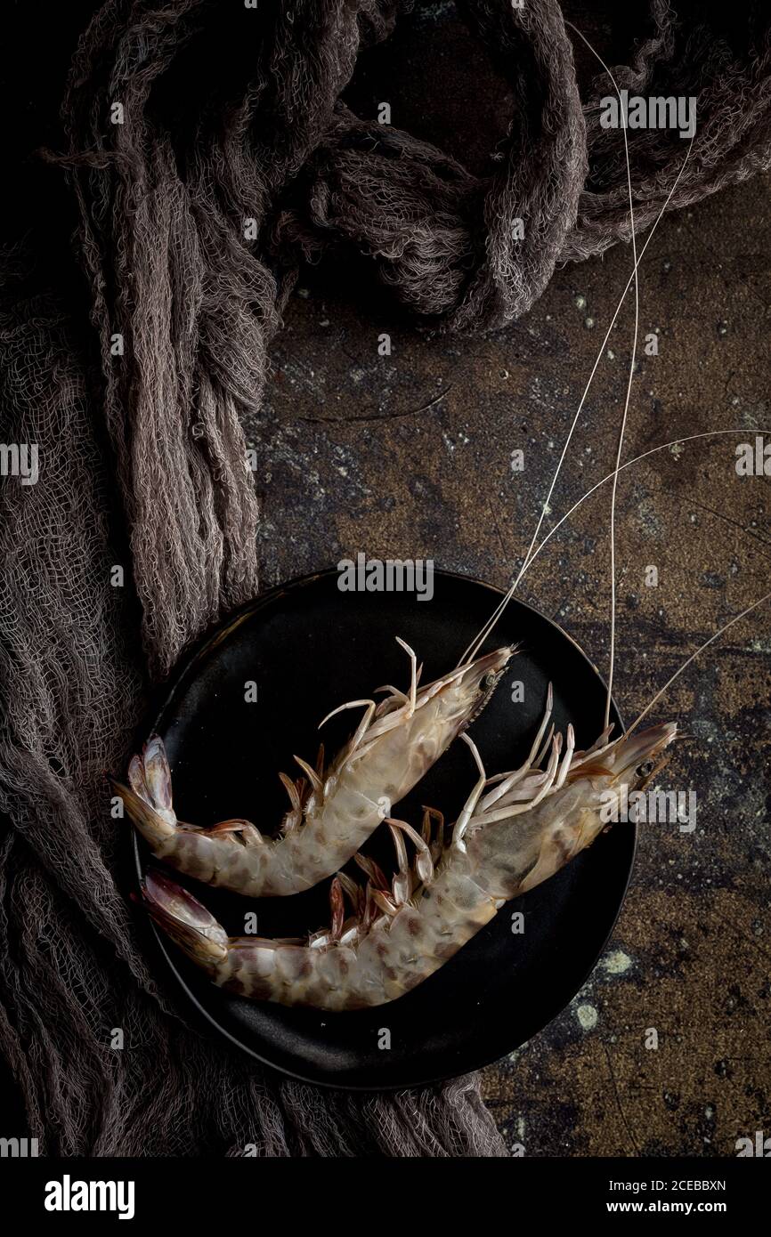 Gamberi crudi sul piatto Foto Stock