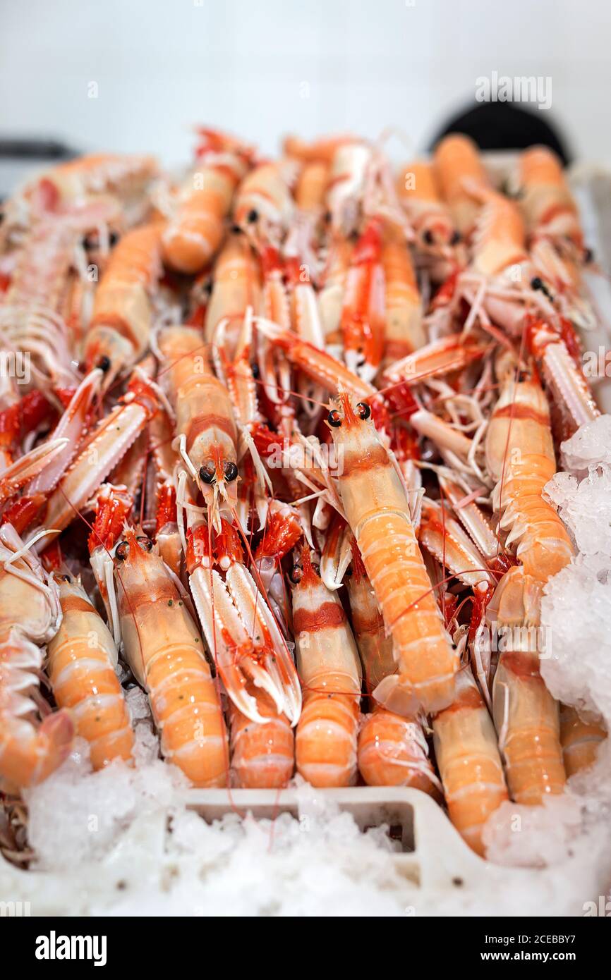 Mercato tradizionale di pesce fresco e assortito e frutti di mare. Aragosta norvegese Foto Stock