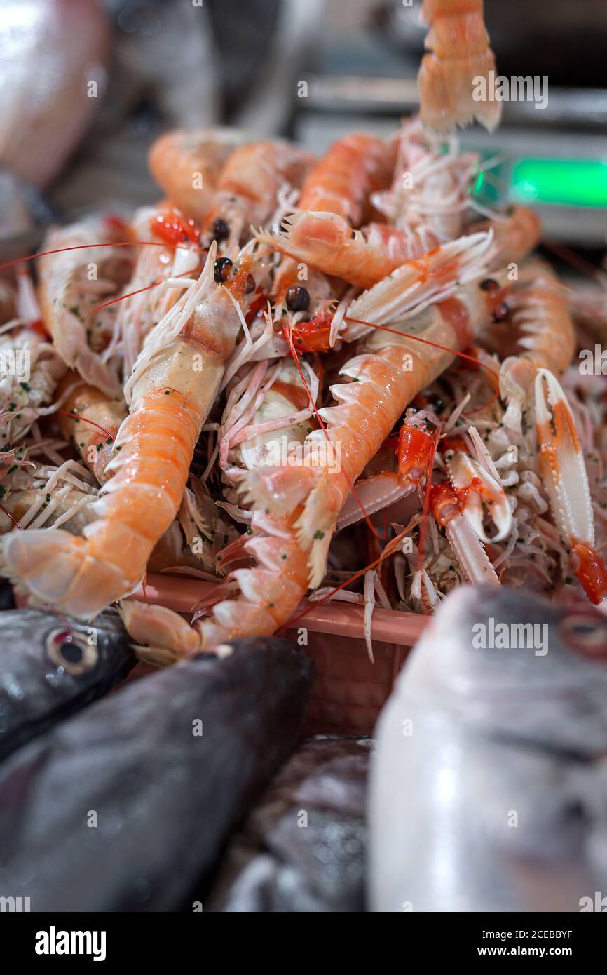 Mercato tradizionale di pesce fresco e assortito e frutti di mare. Aragosta norvegese Foto Stock