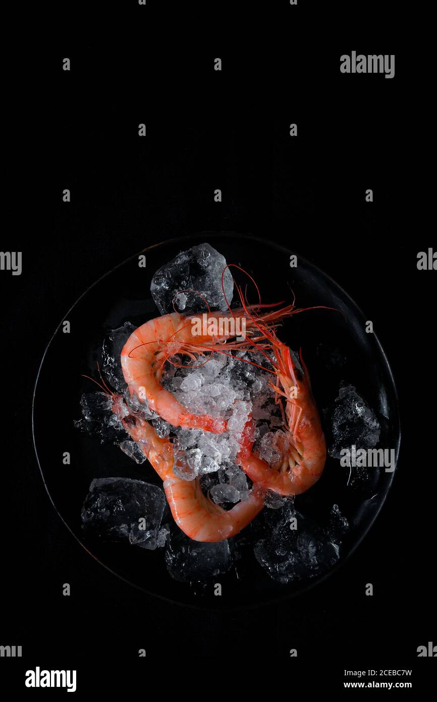 Gamberi freschi e crudi con ghiaccio. Vista dall'alto; disposizione piatta. Su sfondo scuro Foto Stock