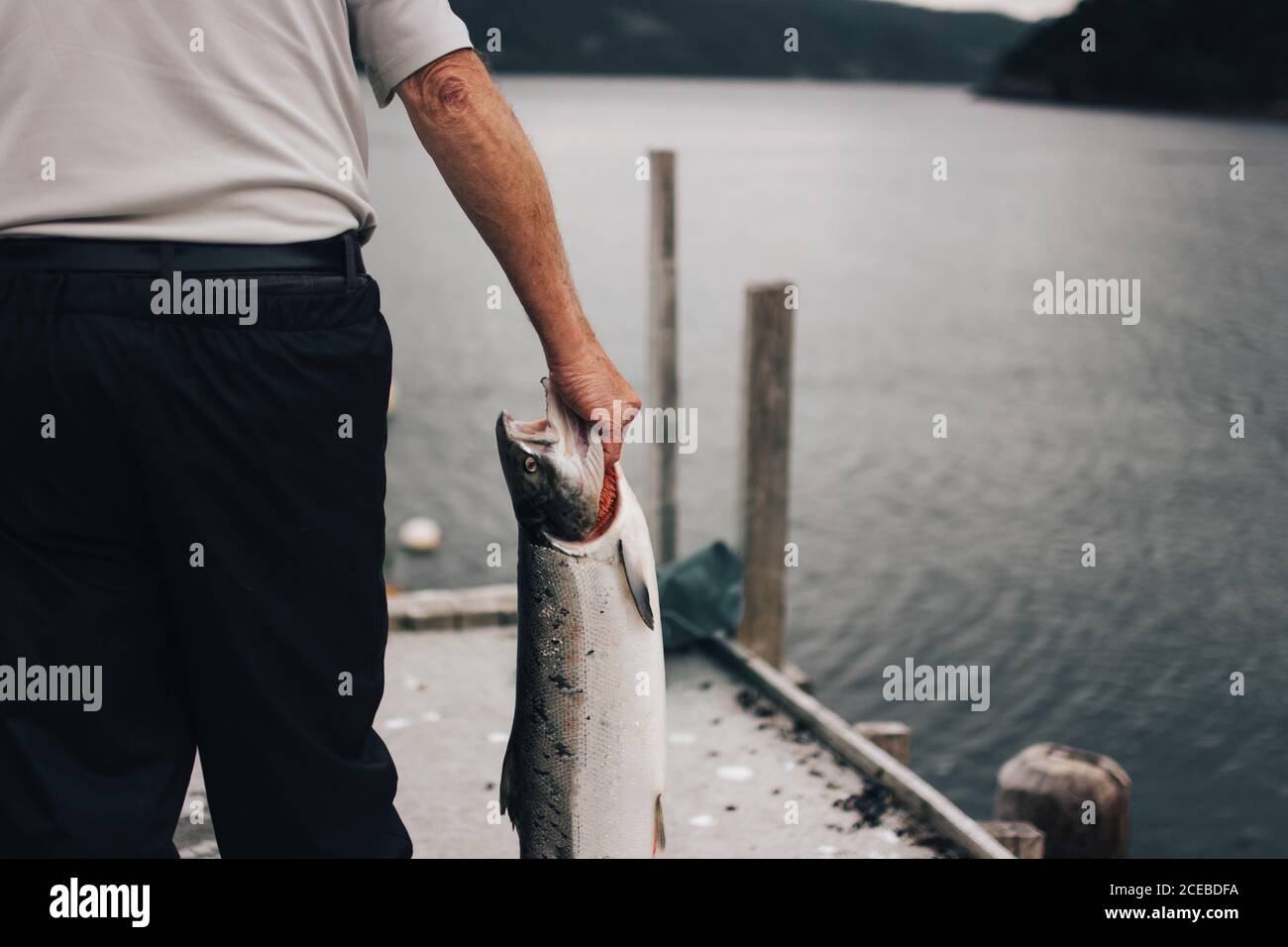 Pescatore che tiene in mano il pesce catturato mentre si trova sul molo di fronte alla superficie dell'acqua Foto Stock