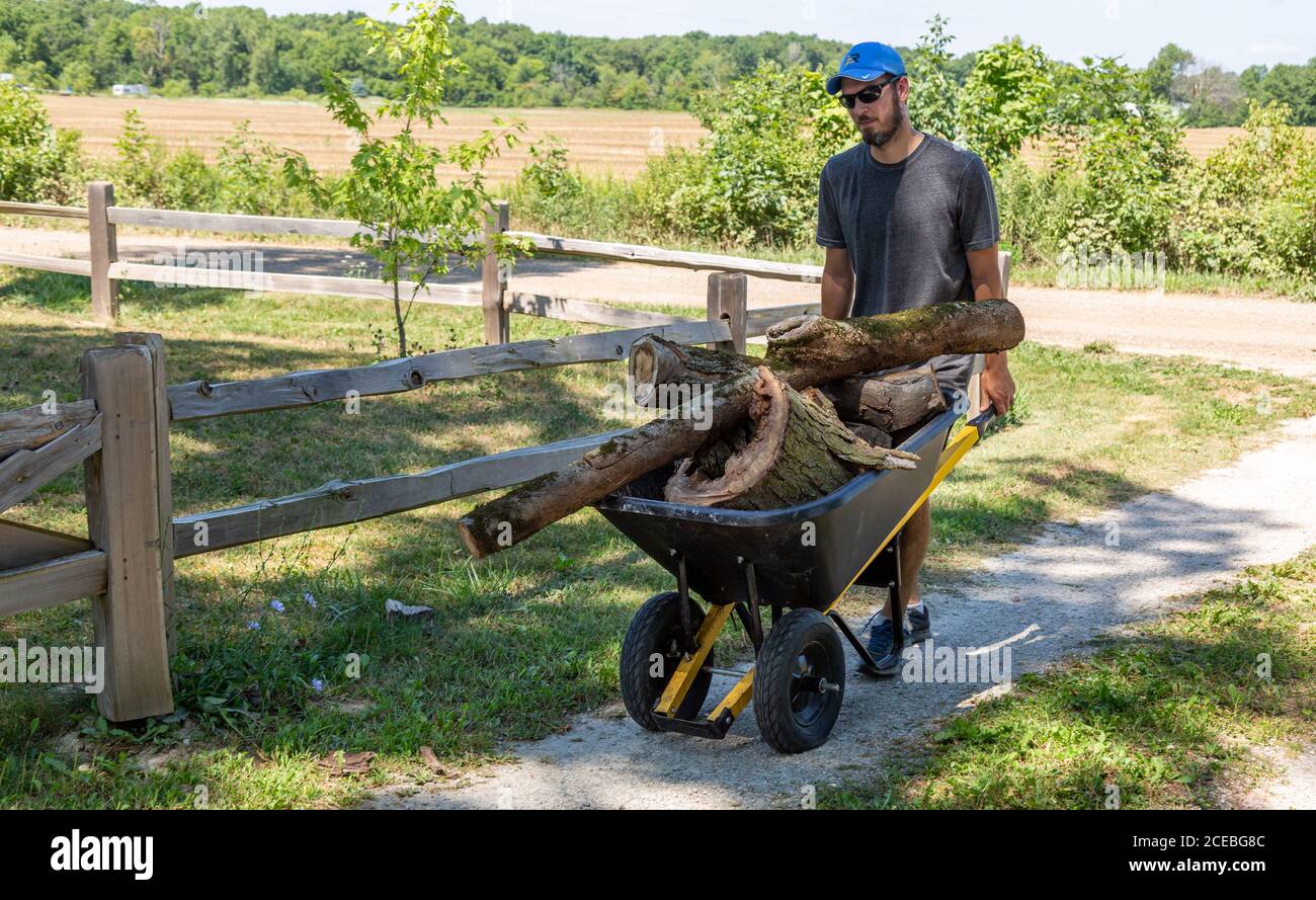 Un agricoltore trasporta il suo legno tritato in una carriola Truper. Foto Stock